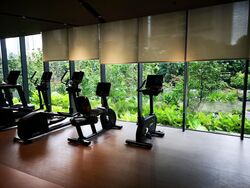 Irwell Hill Residences (D9), Apartment #455649471